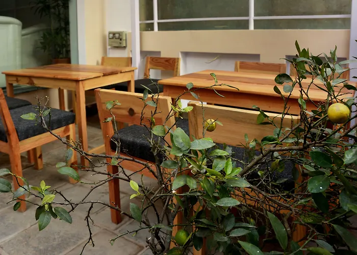 Frühstückspension Lemon Tree Pvt. Ltd 3*